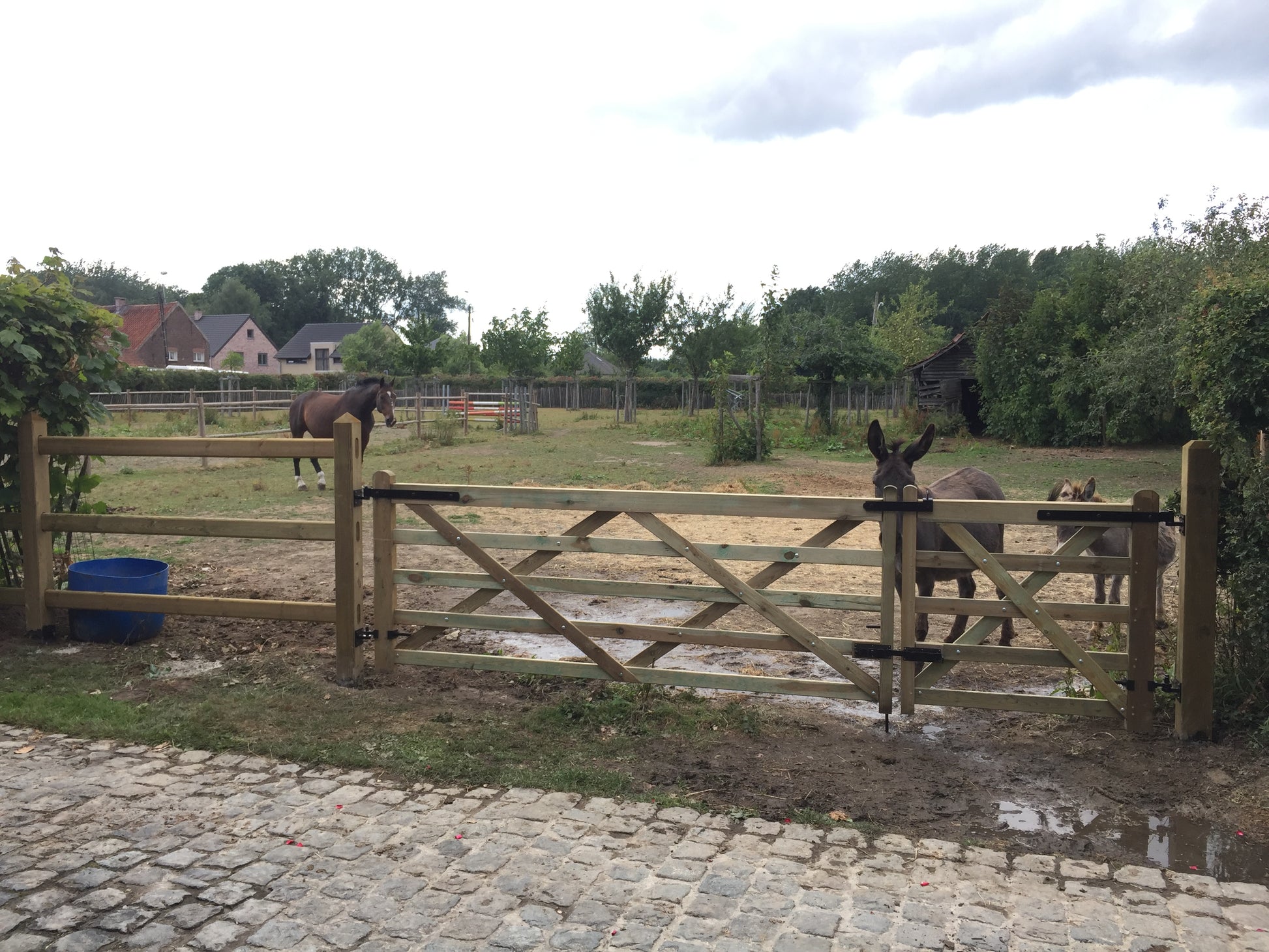 houten-weidepoort-paarden-omheining-houtstock-zwarte-scharnieren-3-liggers-weide-hekken